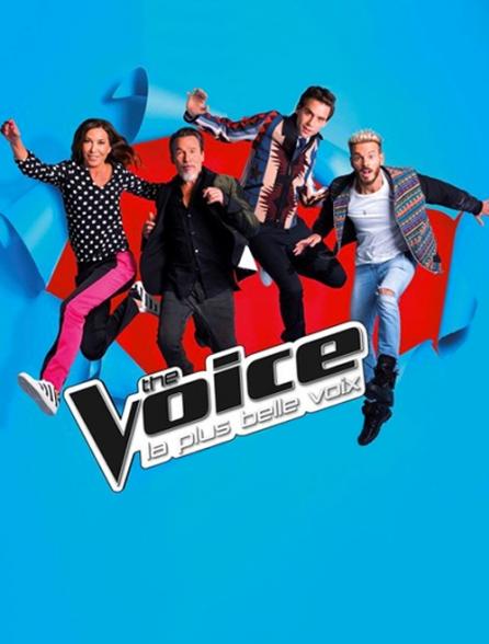 Regardez The Voice, la plus belle voix avec Molotov